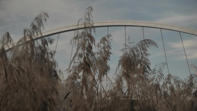 Atardecer en el r&iacute;o Guadalquivir de Sevilla