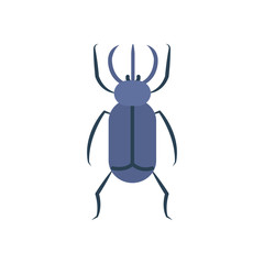 beetle insect icon over white background, flat style