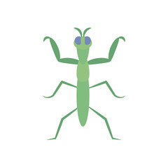 praying mantis insect icon, flat style