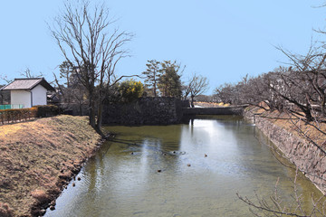 春の松本城の風景