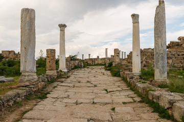 ruins of ancient Greek cities, columns, statues, ancient wall stones found on excavations, as well as in Cyprus in the city of Salamis