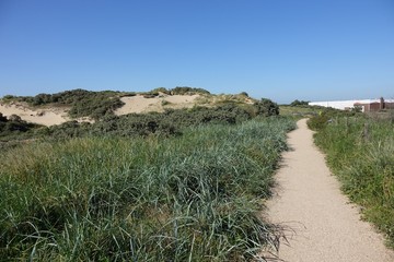 Path to the beach