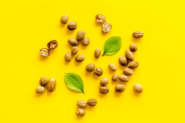 Nutmeg - whole nuts near leves - on yellow background top-down