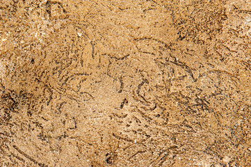 The texture of the foam concrete wall is painted in a natural gray color. The decorative panel. Background for the designer