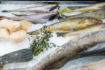 River whole frozen fish lies in the freezer of a shop window
