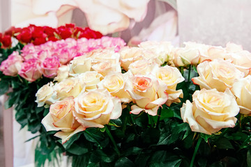 Romantic bouquet of peony pink roses. Selective focus, close-up