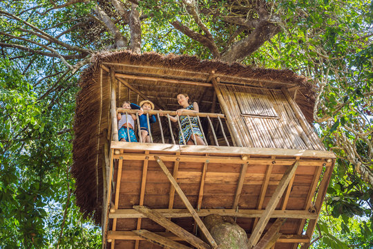 Boys in a tree house. Happy childhood