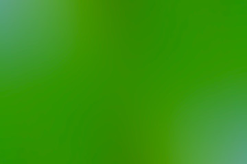 Fototapeta premium green gradient background / abstract blurry fresh green background