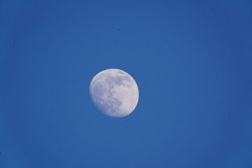 Naklejka na ściany i meble moon close-up in the blue sky