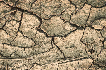 Texture of cracked soil. The concept of global warming and its consequences. Drought. Toned