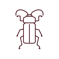 tiger beetle icon, line style