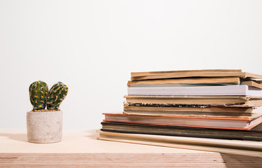  Old books. A stack of books and a plant. Little cute cactus in a concrete pot. Wooden table....