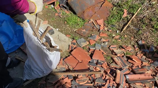 袋に割れた木を詰める男性。台風/地震/災害被害と修復/復旧作業イメージ