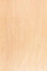 beech wood natural pattern. high-detailed wood texture series