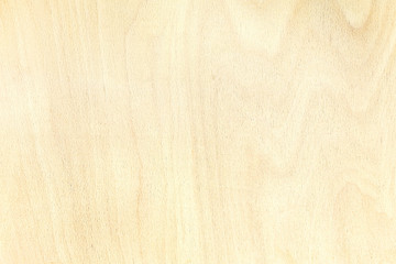 texture of birch plywood board. highly-detailed natural pattern background.