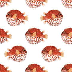 Beautiful seamless vector pattern with very cute watercolor hedgehog fishes. Stock illustration. Sea life wallpaper. Underwater marine background.