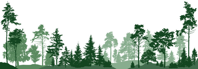 Forest trees. Isolated on white background. Vector illustration © nosyrevy