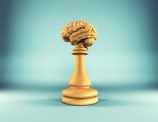 Chess piece brain