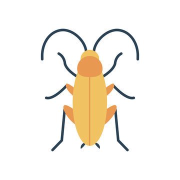 grasshoper icon, flat style