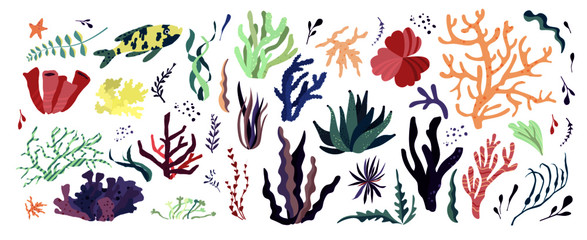 Underwater sea world dwellers, flora and fauna elements. Algae, coral reef, kelp. Vector cartoon illustration.	