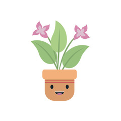 Kawaii flowers and leaves inside pot flat style icon vector design