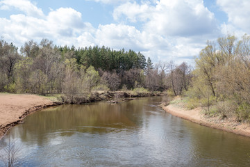 small forest Rivera