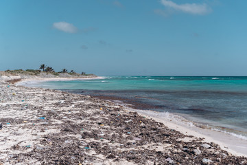 Plastic trash and algae on the sandy beach