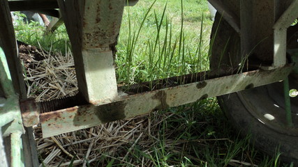 the grass grows on the wagon axle