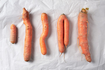 Ugly misshapen carrots on craft paper background. Concept of zero waste production. Top view. Copy space. Non gmo vegetables