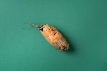 Ugly misshapen carrots on green background. Concept of zero waste production. Top view. Copy space....