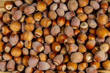 Food background of the whole hazelnuts