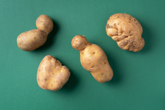 Ugly potatoes on green background. Ugly, unnormal vegetable, zero waste and plastic free concept. Top view. Copy space.
