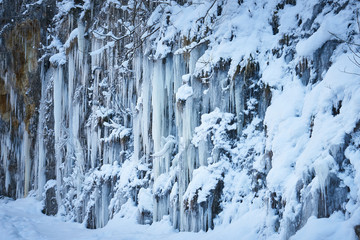 Frozen waterfall in winter. Icicles on the rock.