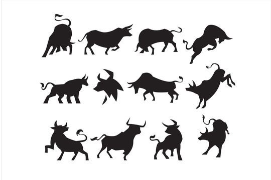pack of bull silhouette . template illustration design