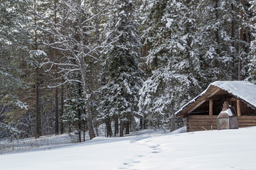 Winter landscape. Wooden hut in the middle of a snowy forest