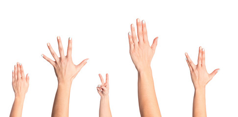 set of   female  hands   isolated on white background- Image