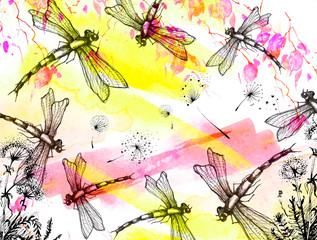 Watercolor illustration. Dragonfly flies against the sky, birch branches, linden,cherry  tree. Dandelion flower. Abstract paint splash. Stylish drawing. Dragonfly Graphic Realistic Line Ink Drawing.