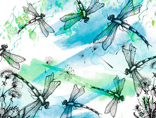 Watercolor illustration. Dragonfly flies against the sky, birch branches, linden,cherry  tree.Dandelion flower. Abstract paint splash. Stylish drawing. Dragonfly Graphic Realistic Line Ink Drawing