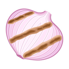 Roasted Onion with Strips Isolated on White Background Vector Illustration