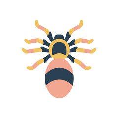 jumping spider icon, flat style