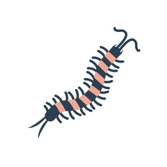caterpiller insect icon, flat style