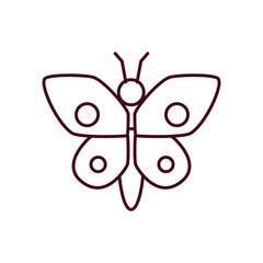 cute butterfly icon, line style