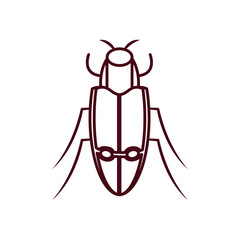 carab beetle icon, line style