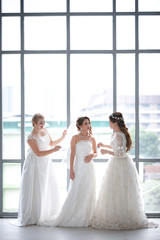 Fototapeta premium Group of beautiful brides arrange their dress..