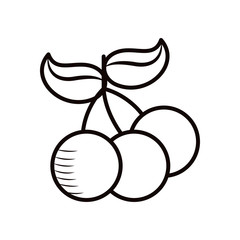 Isolated coffee cherries line style icon vector design