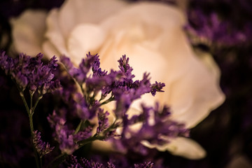 flor morada