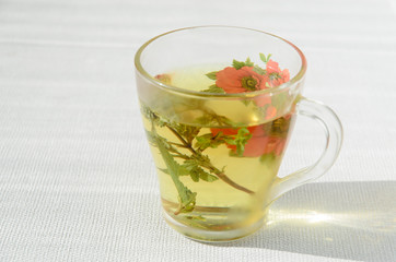 tea in cup with leaf mint and lemon isolated on white background