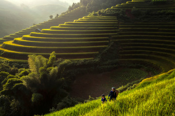 Peasant mother and daughter walking on the rice terraces Vietnam.