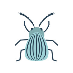 colorado beetle icon, flat style