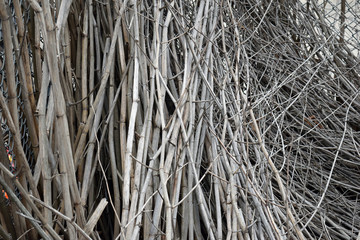 Close Up of  Large Tangled Grass Stems 